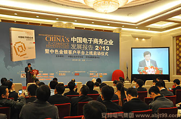 我国首部电子商务发行会现场