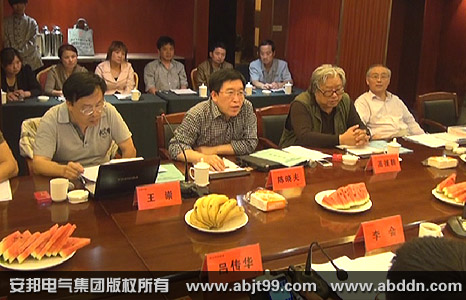 中国农村能源标准化技术委员会秘书长陈晓夫、中国农村能源行业协会太阳能综合利用协调组主任高援朝、特邀专家王崇